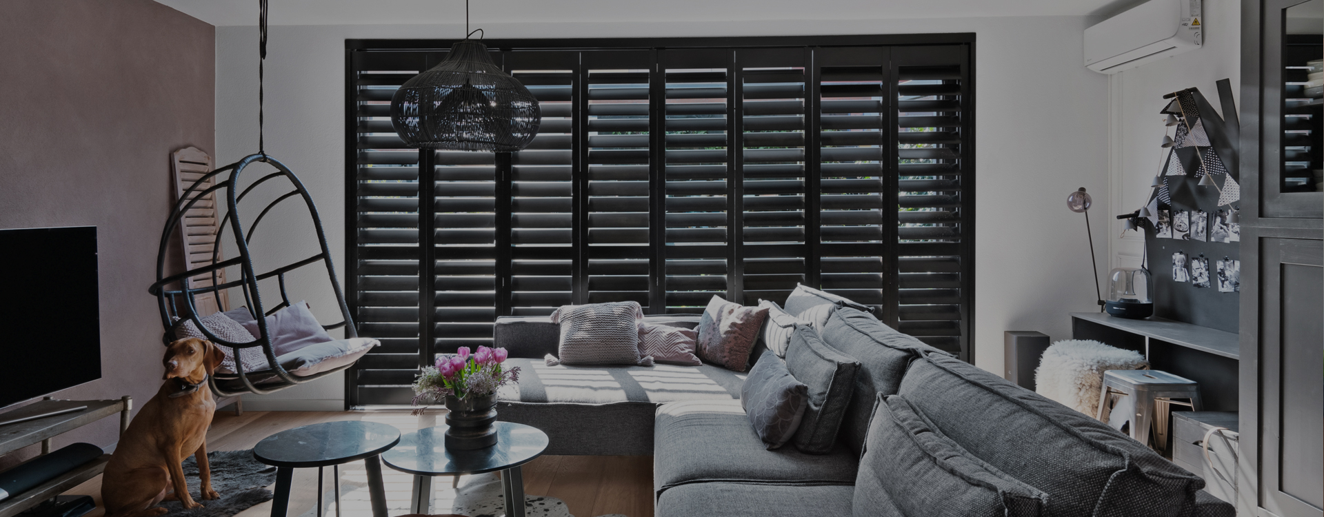 Timber Shutters